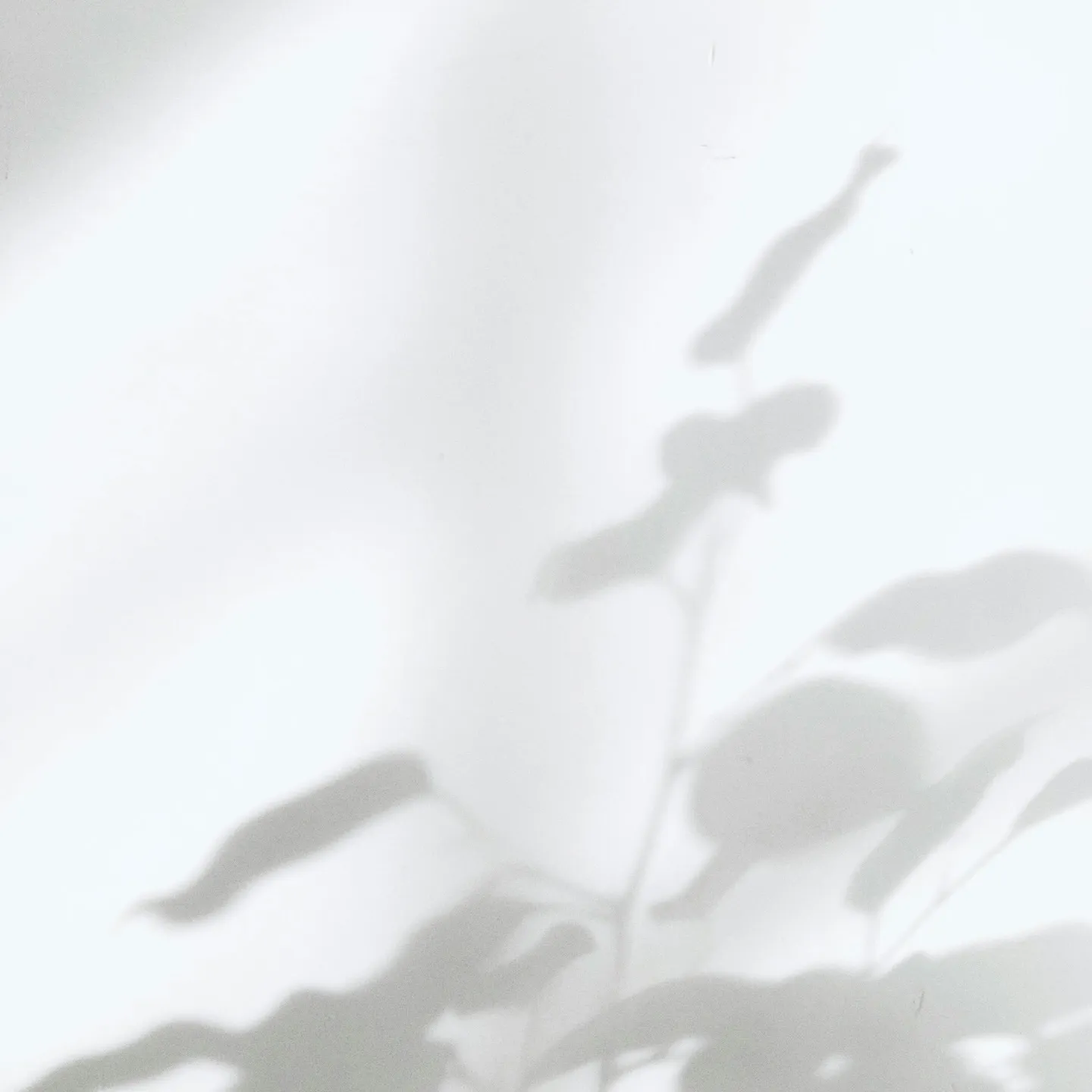 当店のエクステは、すべてLEDです。