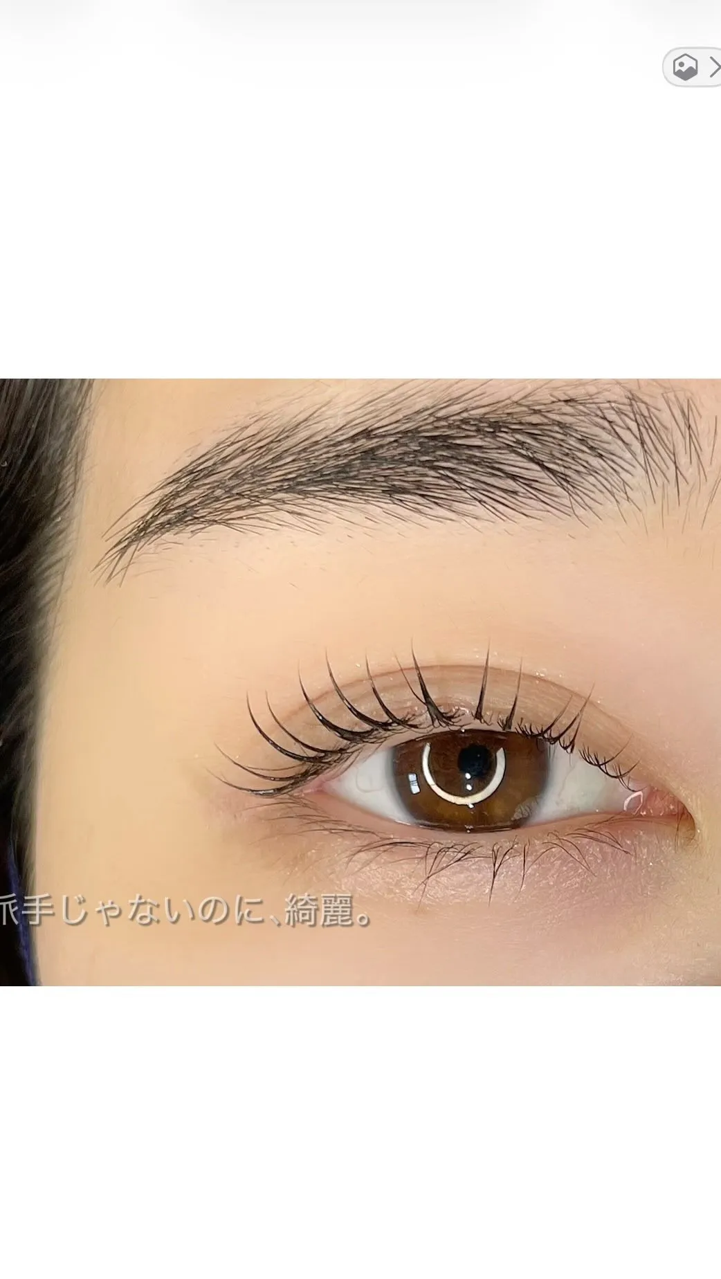 派手じゃないのに、綺麗。